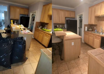 Professional Cleaning Services